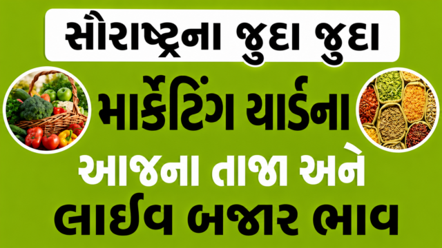 Saurashtra Marketing Yard Bajar Bhav