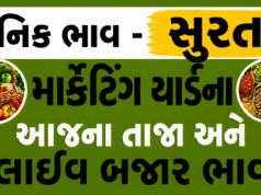 દૈનિક ભાવ – સુરત માર્કેટ યાર્ડ : Surat APMC