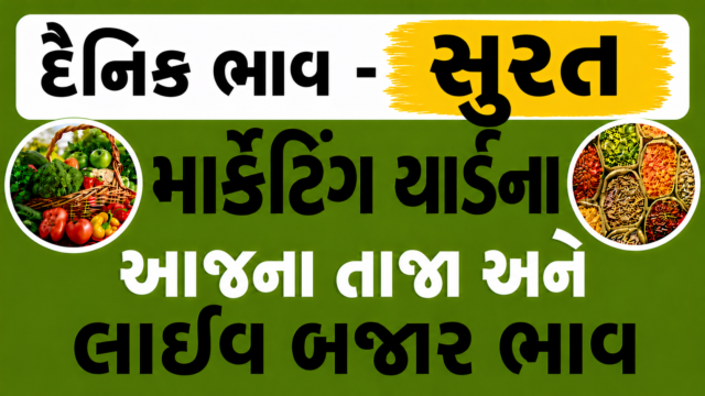 Surat APMC