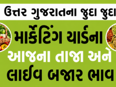 North (Uttar) Gujarat Market Yard Bajar Bhav – ઉત્તર ગુજરાત માર્કેટયાર્ડ બજાર ભાવ