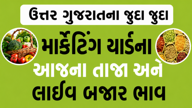 Uttar Gujarat Market Yard Bajar Bhav