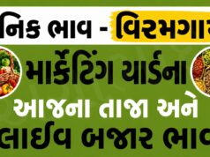 દૈનિક ભાવ – વિરમગામ માર્કેટ યાર્ડ : Viramgam APMC