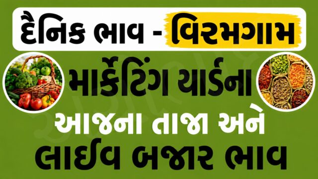 Viramgam APMC