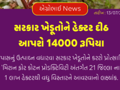 કપાસ ક્રાંતિ મિશન 2026 : હેક્ટર દીઠ રૂ. 14,000 ની સીધી સહાય, જાણો અરજી પ્રક્રિયા અને વાવેતર નિયમો
